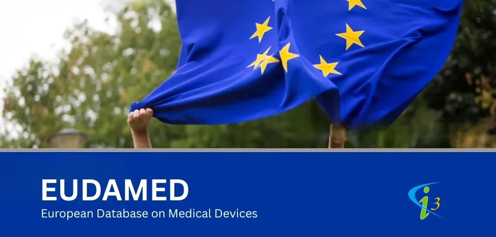 EUDAMED Registration Service EUDAMED Registration